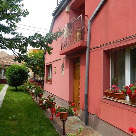 Cazare Vio Hotel Cluj-Napoca Eksteriør billede