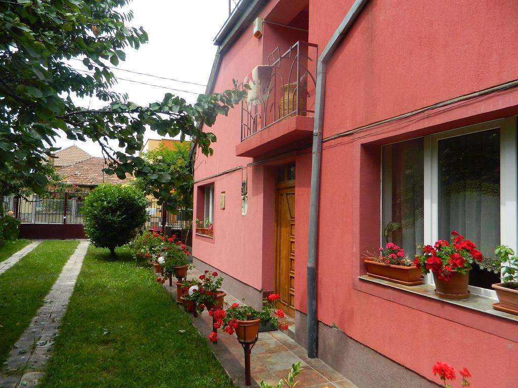 Cazare Vio Hotel Cluj-Napoca Eksteriør billede
